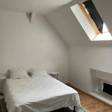 Le Wolf - 1 Chambre Dans Un T3 - 5Mn Tram Du Centre Ville - 15Mn Tram Gare Tgv Mulhouse - Wifi - Parking Exterior foto