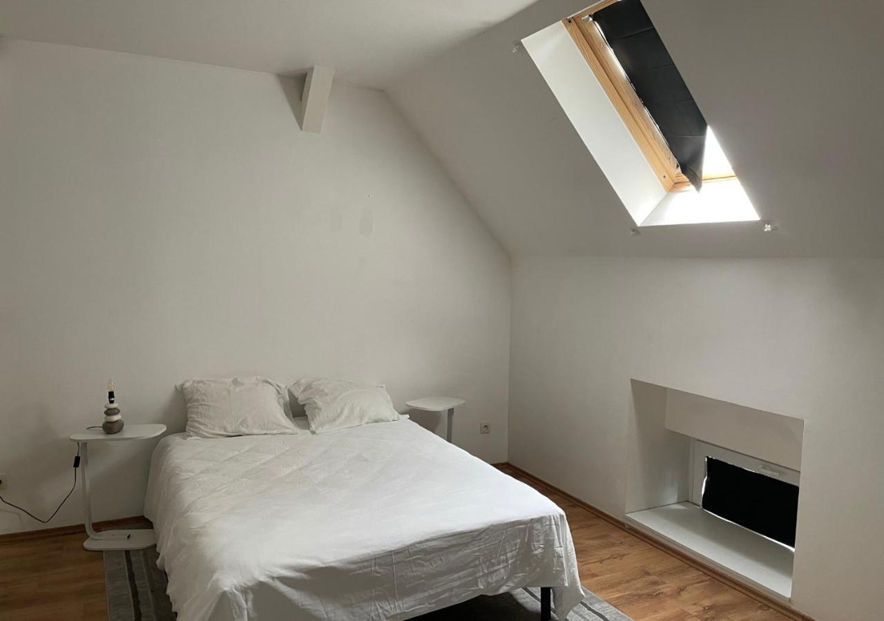 Le Wolf - 1 Dans Un T3 - 5mn Tram Du Centre - 15mn Tram Gare Tgv - Wifi - Parking * Mulhouse